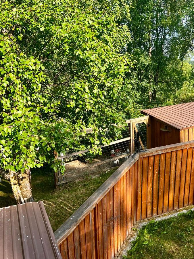 Indian Ak 25 Min To Anchorage & 25 Min To Girdwood Villa Ngoại thất bức ảnh