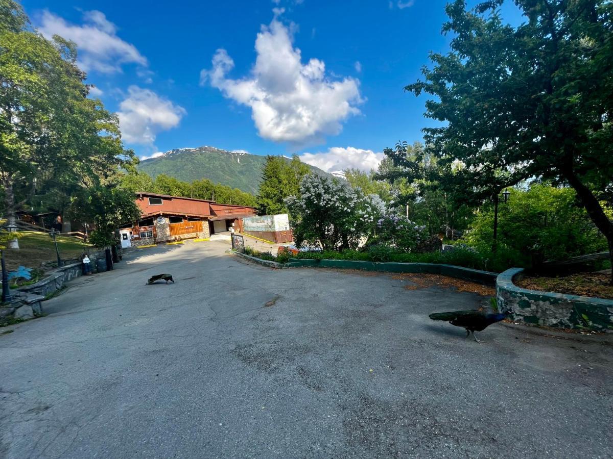 Indian Ak 25 Min To Anchorage & 25 Min To Girdwood Villa Ngoại thất bức ảnh