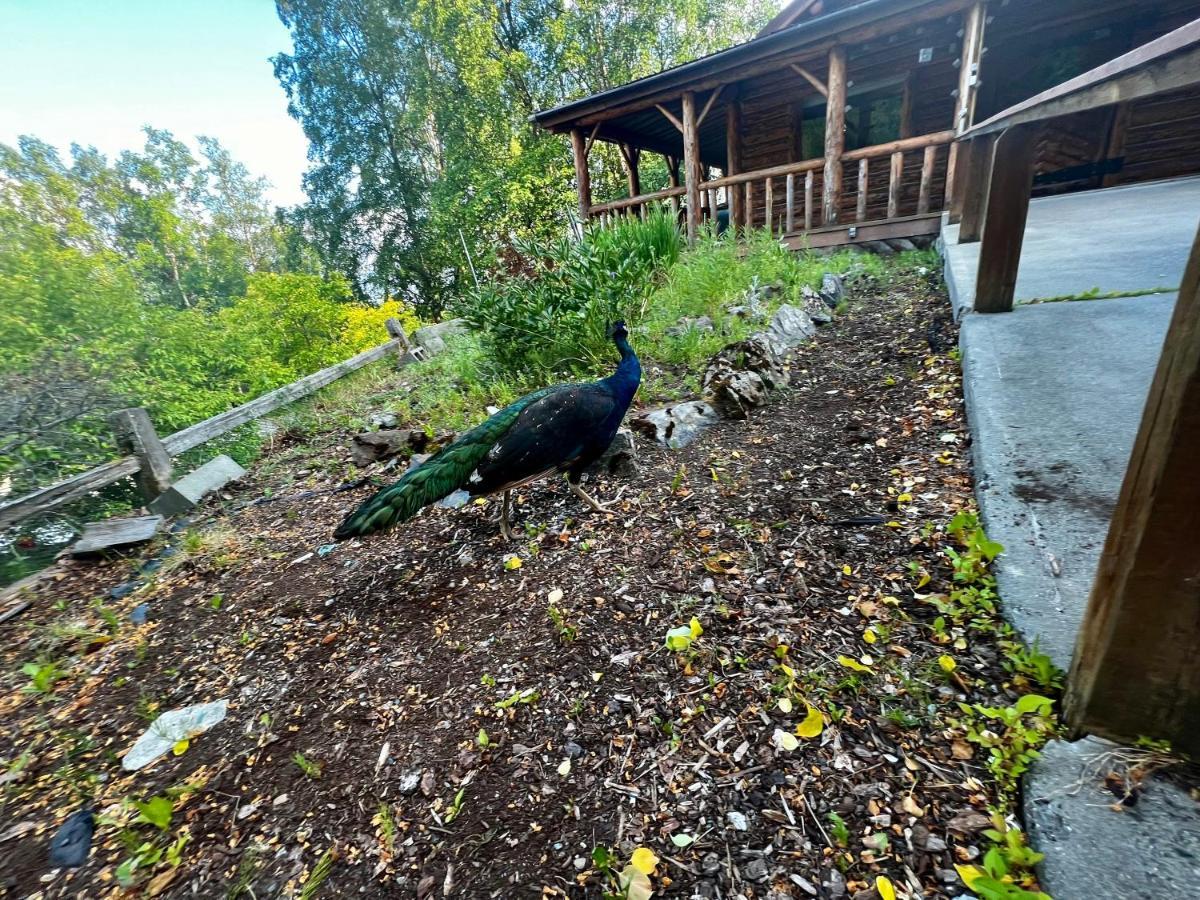 Indian Ak 25 Min To Anchorage & 25 Min To Girdwood Villa Ngoại thất bức ảnh